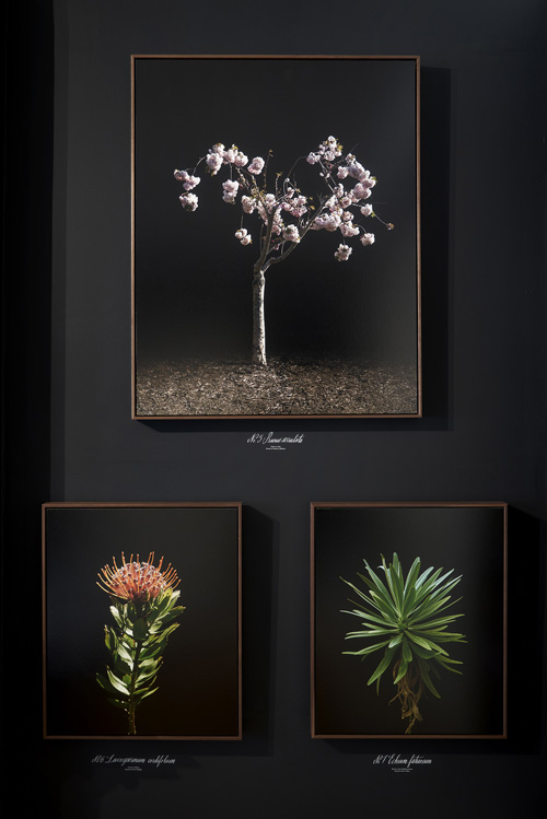 Created by Elina Frumerman from San Francisco, California
