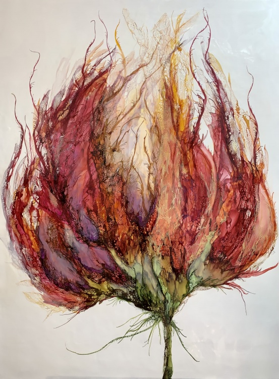 Original art by Katerina Capetanos from Sonoma, California