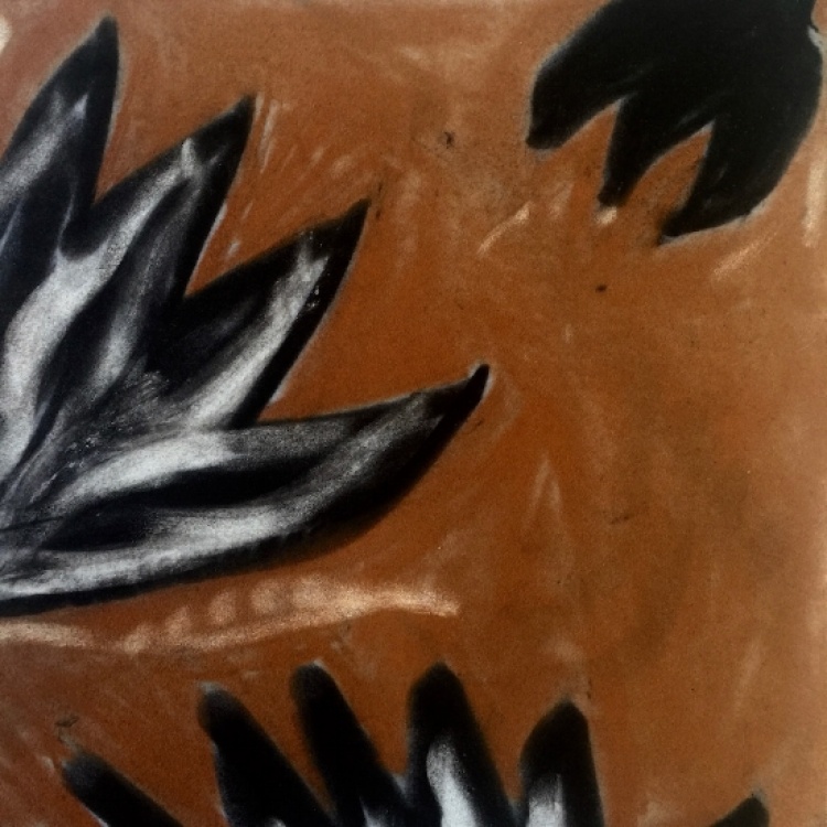 Fresh artwork by Sherri Silverman from Lagunitas, California