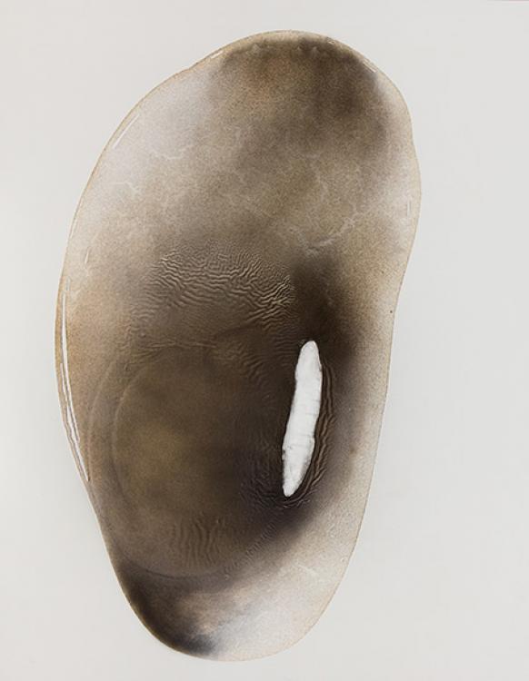 Created by Stella Zhang from San Francisco, California